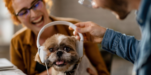 Deux personnes en train de faire écouter de la musique à un chien avec des casques